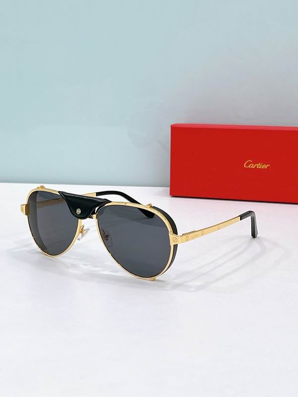 Cartier Glasses sms458